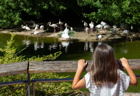 Lyon, Parc de la Tête d'Or