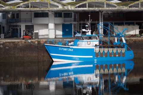Dieppe, bateau de pêche et criée,