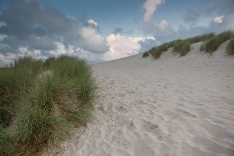 Le Touquet Paris Plage, dunes au dessus de la plage