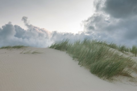 Le Touquet Paris Plage, dunes above the beach