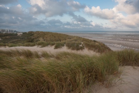 Le Touquet Paris Plage, dunes au dessus de la plage