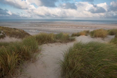 Le Touquet Paris Plage, dunes au dessus de la plage
