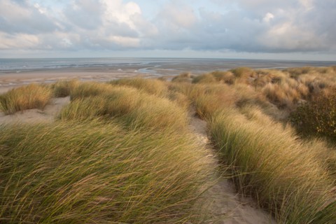 Le Touquet Paris Plage, dunes au dessus de la plage