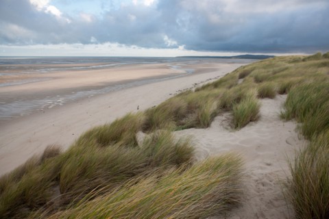 Le Touquet Paris Plage, dunes above the beach