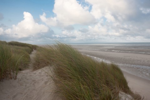 Le Touquet Paris Plage, dunes above the beach