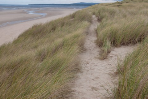 Le Touquet Paris Plage, dunes au dessus de la plage