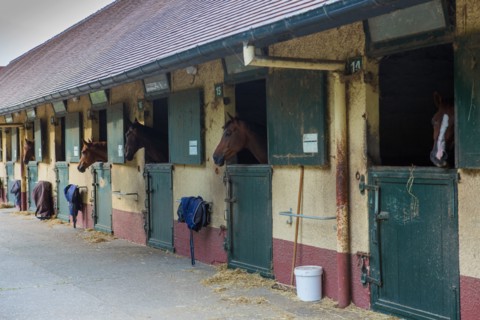 Le Touquet Paris Plage, equestrian centre