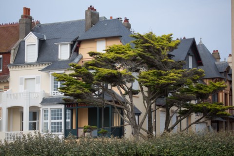 Le Touquet Paris Plage, tree and seafront villas