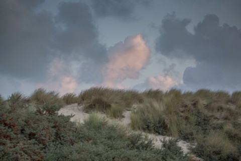 Le Touquet Paris Plage, dunes au dessus de la plage