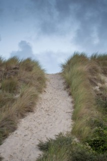 Le Touquet Paris Plage, dunes au dessus de la plage