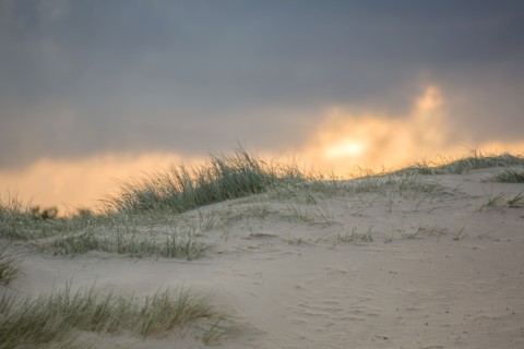 Le Touquet Paris Plage, dunes au dessus de la plage