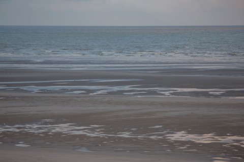 Le Touquet Paris Plage, dunes au dessus de la plage