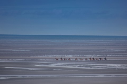 Le Touquet Paris Plage, riders on the beach