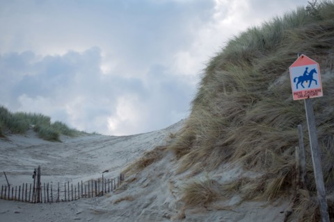 Le Touquet Paris Plage, dune