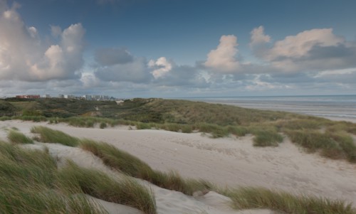Le Touquet Paris Plage, dunes above the beach