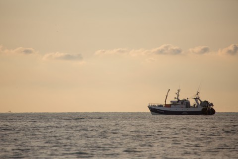 Mers les Bains, Le Tréport harbour breakwater