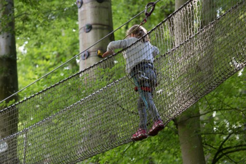 Denestanville, Ard'aventure