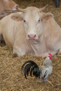 Luneray, Ferme des Trois Portes