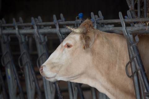 Luneray, Ferme des Trois Portes