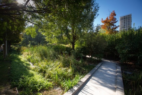 Paris, nouveau quartier des Batignolles