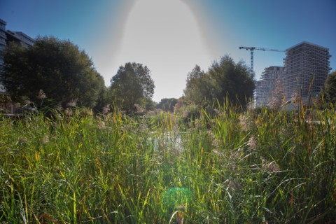 Paris, the new Batignolles neighborhood