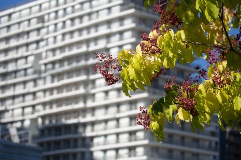 Paris, the new Batignolles neighborhood