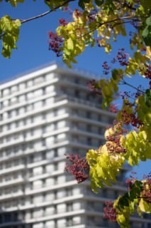 Paris, nouveau quartier des Batignolles