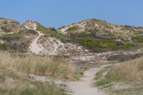 Cucq  Stella Plage (Côte d'Opale), dunes de Mayville