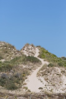 Cucq  Stella Plage (Côte d'Opale), dunes de Mayville