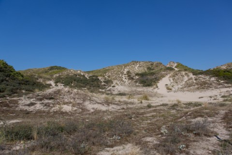 Cucq  Stella Plage (Côte d'Opale), dunes de Mayville