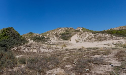 Cucq  Stella Plage (Côte d'Opale), dunes de Mayville