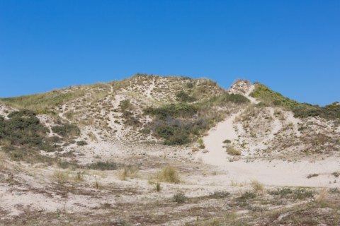 Cucq  Stella Plage (Côte d'Opale), dunes de Mayville