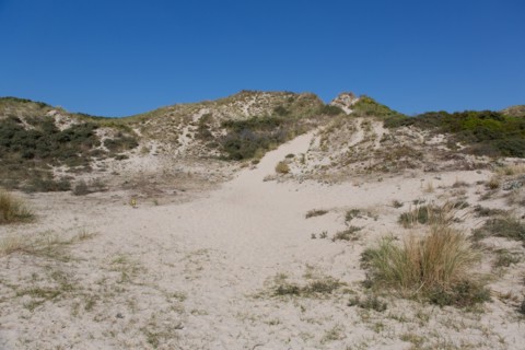 Cucq  Stella Plage (Côte d'Opale), dunes de Mayville