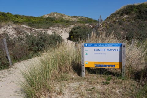 Cucq  Stella Plage (Côte d'Opale), dunes de Mayville