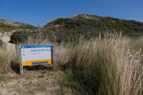 Cucq  Stella Plage (Côte d'Opale), dunes de Mayville