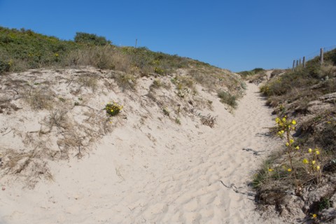 Cucq  Stella Plage (Côte d'Opale), dunes de Mayville