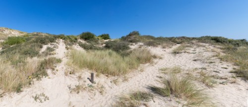 Cucq  Stella Plage (Côte d'Opale), dunes de Mayville