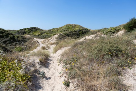 Cucq  Stella Plage (Côte d'Opale), dunes de Mayville