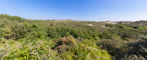 Cucq  Stella Plage (Côte d'Opale), dunes de Mayville