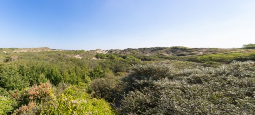 Cucq  Stella Plage (Côte d'Opale), dunes de Mayville
