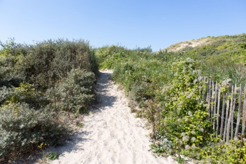 Cucq  Stella Plage (Côte d'Opale), dunes de Mayville