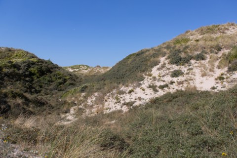 Cucq  Stella Plage (Côte d'Opale), dunes de Mayville