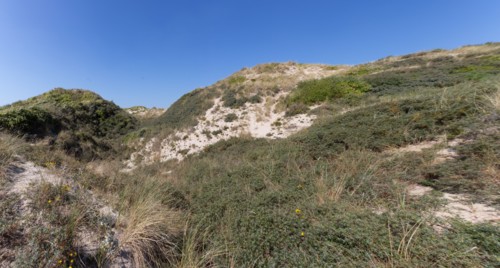 Cucq  Stella Plage (Côte d'Opale), dunes de Mayville