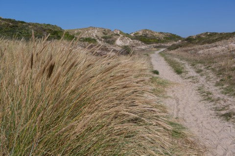 Cucq  Stella Plage (Côte d'Opale), dunes de Mayville