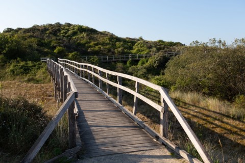 Merlimont Plage, sentier de découverte de la dune parabolique