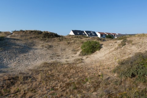 Merlimont Plage, sentier de découverte de la dune parabolique