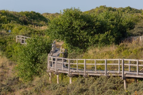 Merlimont Plage, sentier de découverte de la dune parabolique
