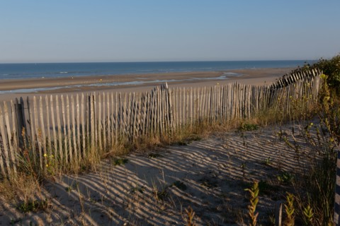 Merlimont Plage, bande dunaire sur le front de mer