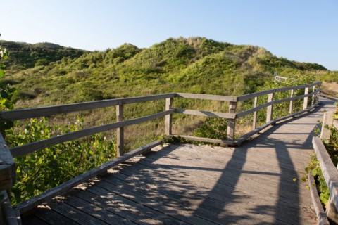 Merlimont Plage, sentier de découverte de la dune parabolique