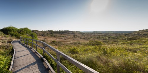 Merlimont Plage, sentier de découverte de la dune parabolique